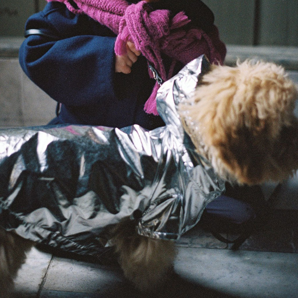 Dog Rain Coat Twinkly Turtle