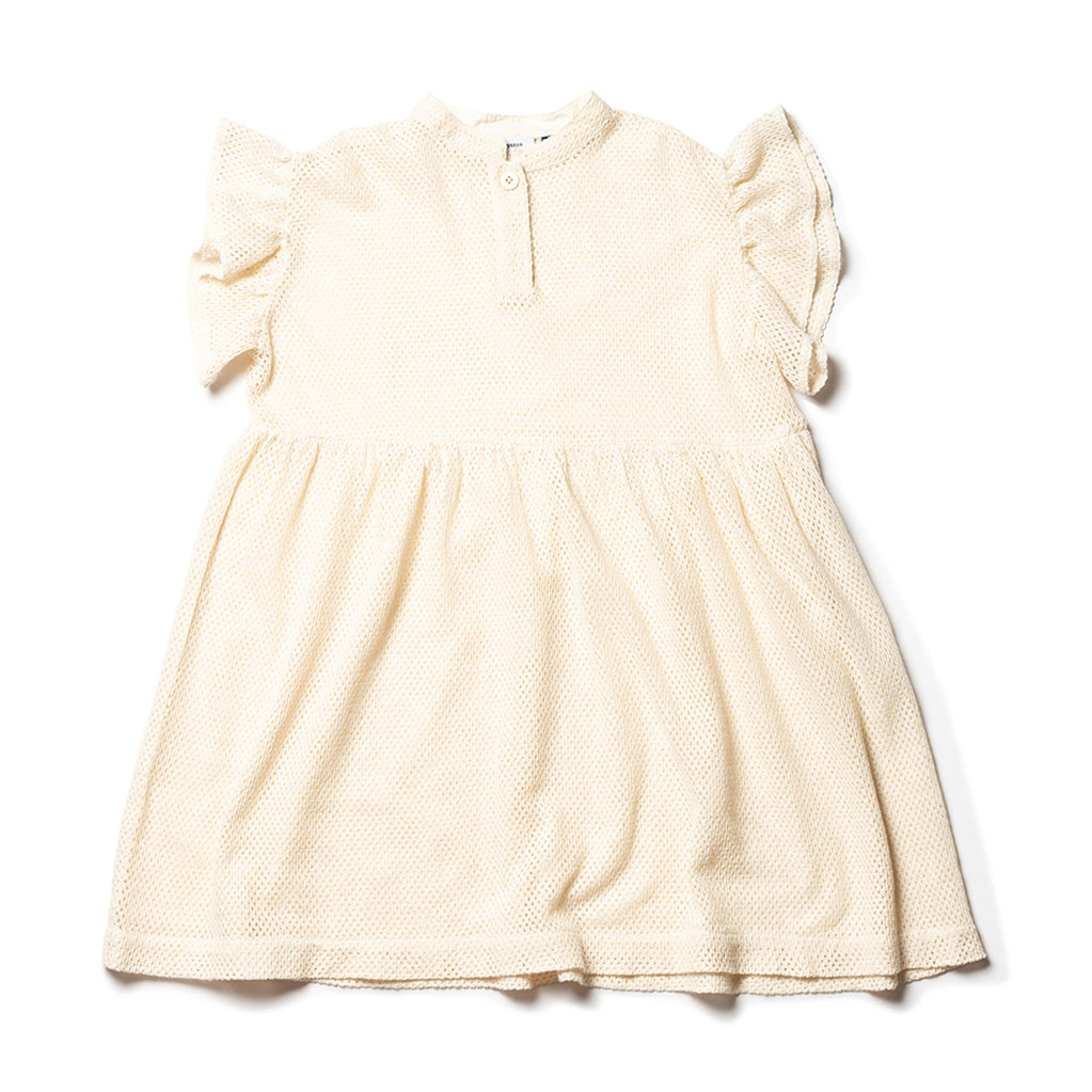 Dress Frill Sleeve Ecru Lace