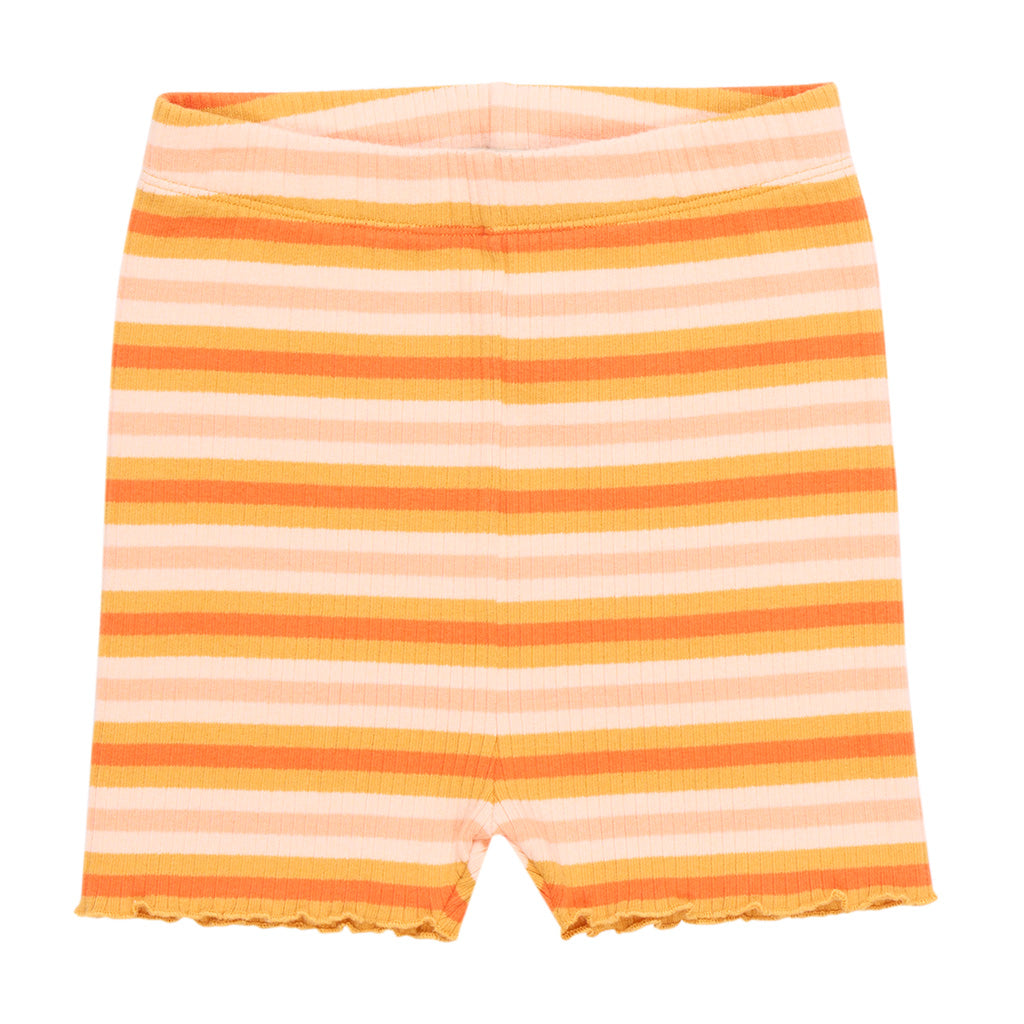 Short Guido Multicolor
