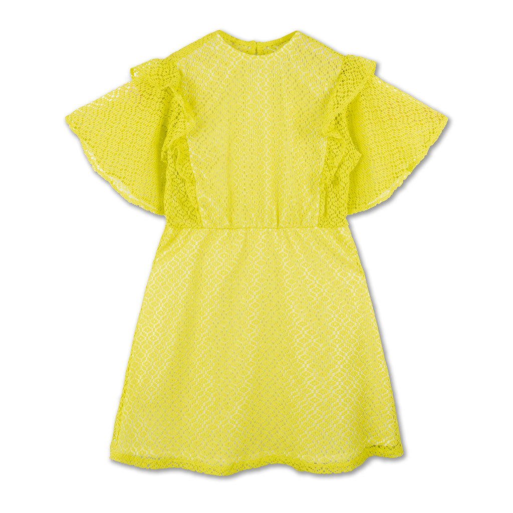 Dress Ruffle Significant Lace