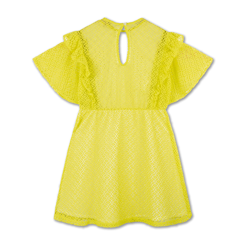 Dress Ruffle Significant Lace