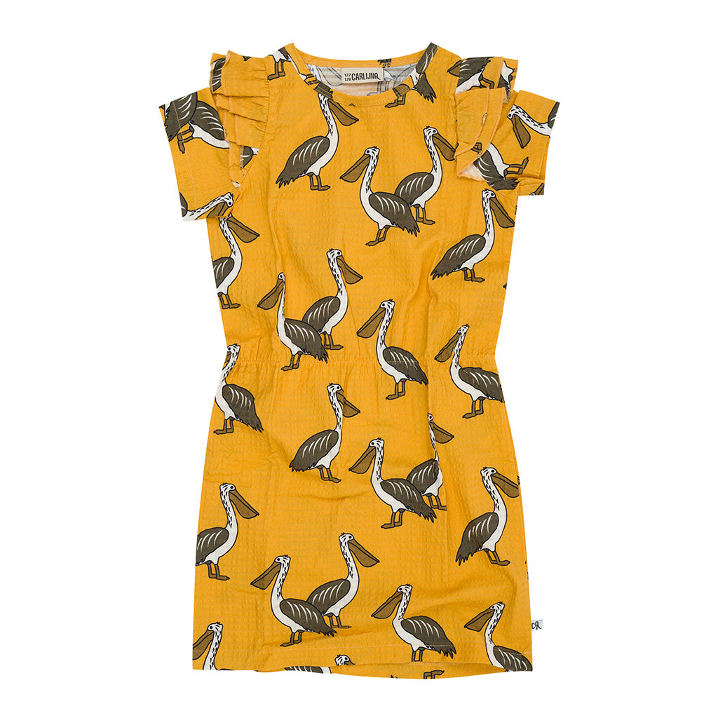 Dress Ruffle Pelican