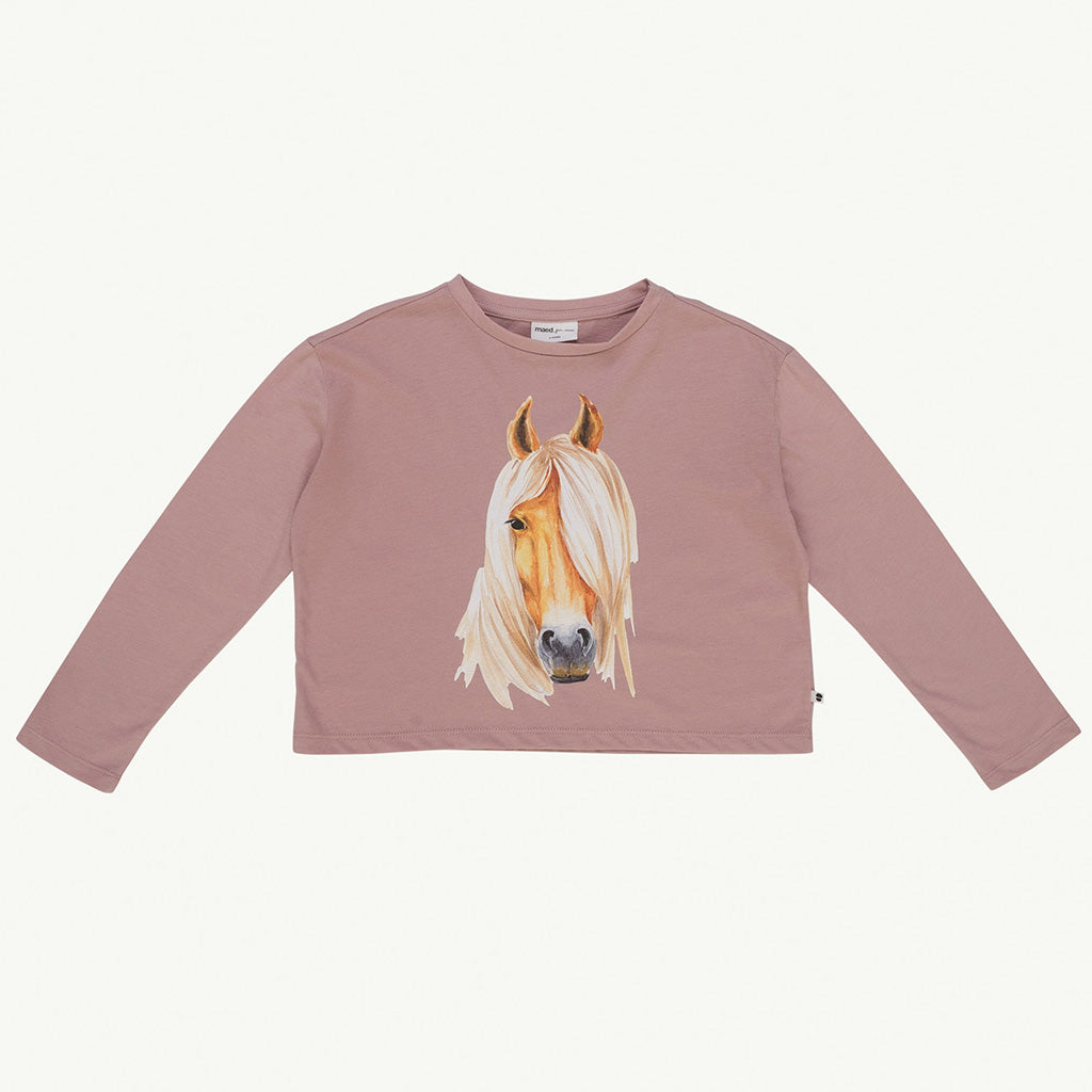 Longsleeve Handsome Horse