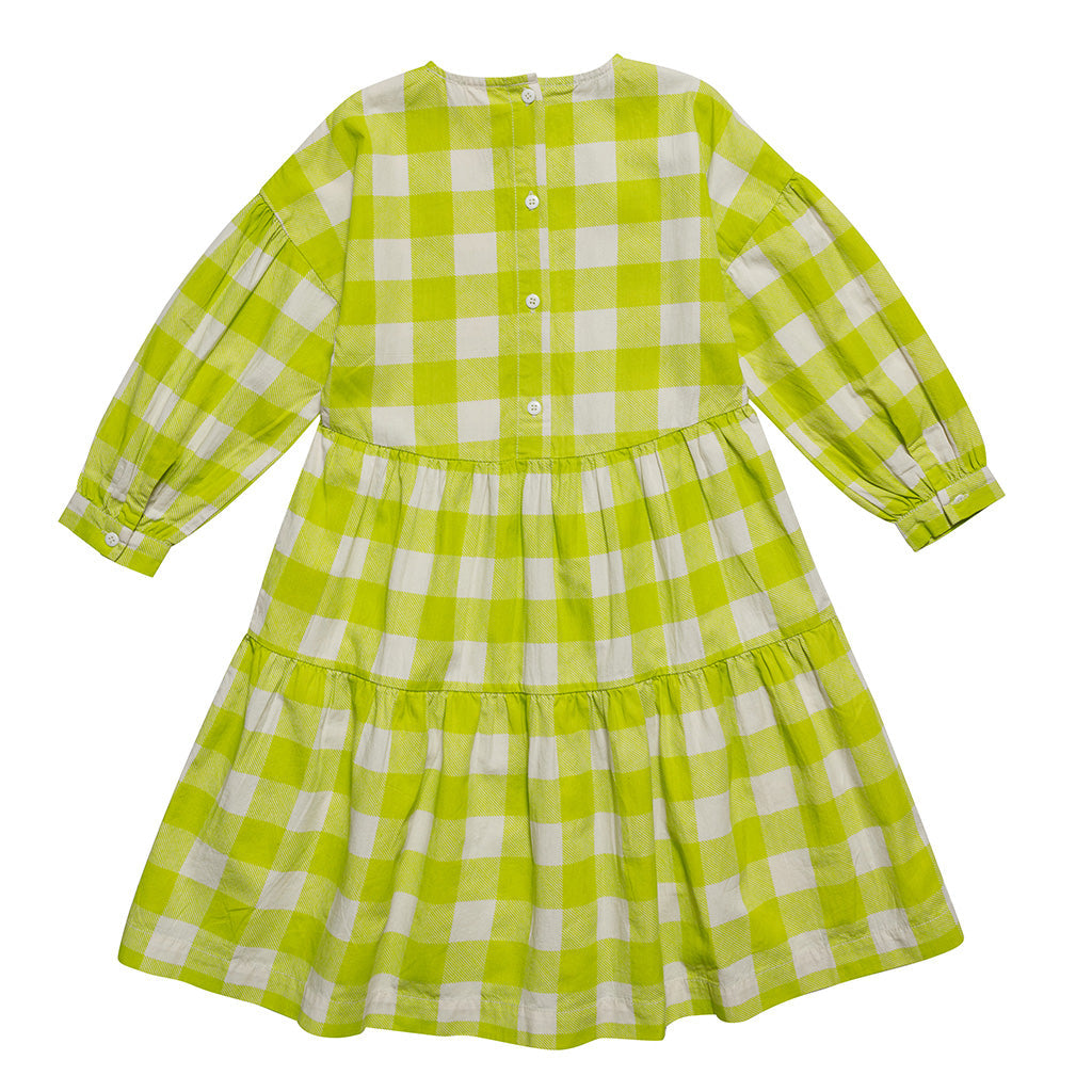 Dress Forever Acid Gingham
