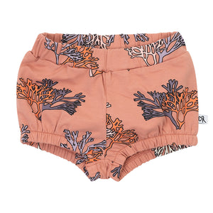 Bloomer Coral