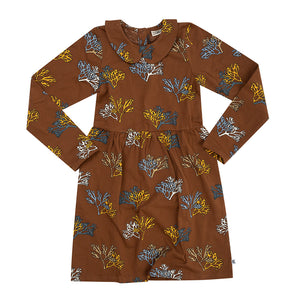 Dress Collar Brown Coral