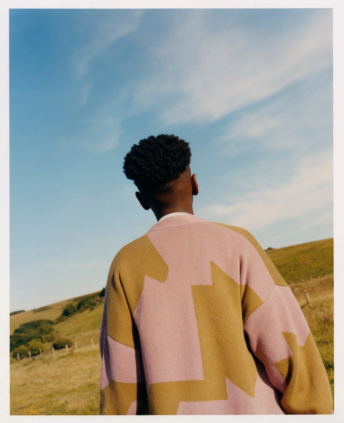 Cardigan Jacquard Mauve Moss