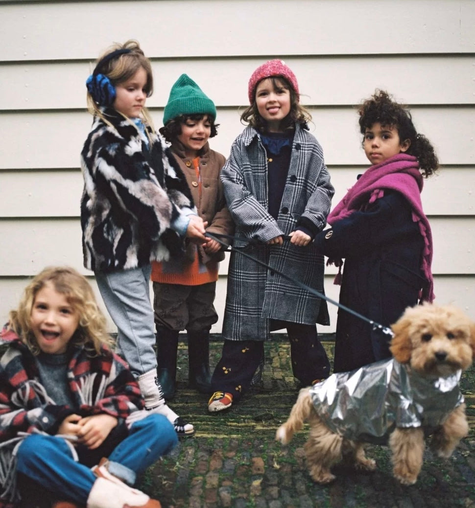Dog Rain Coat Twinkly Turtle