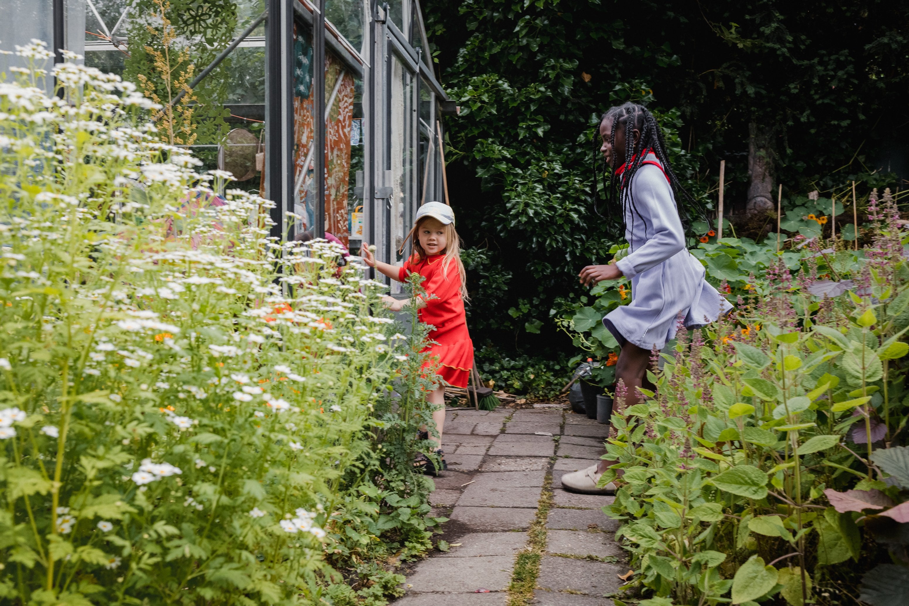 Top Romantic Ray Gold