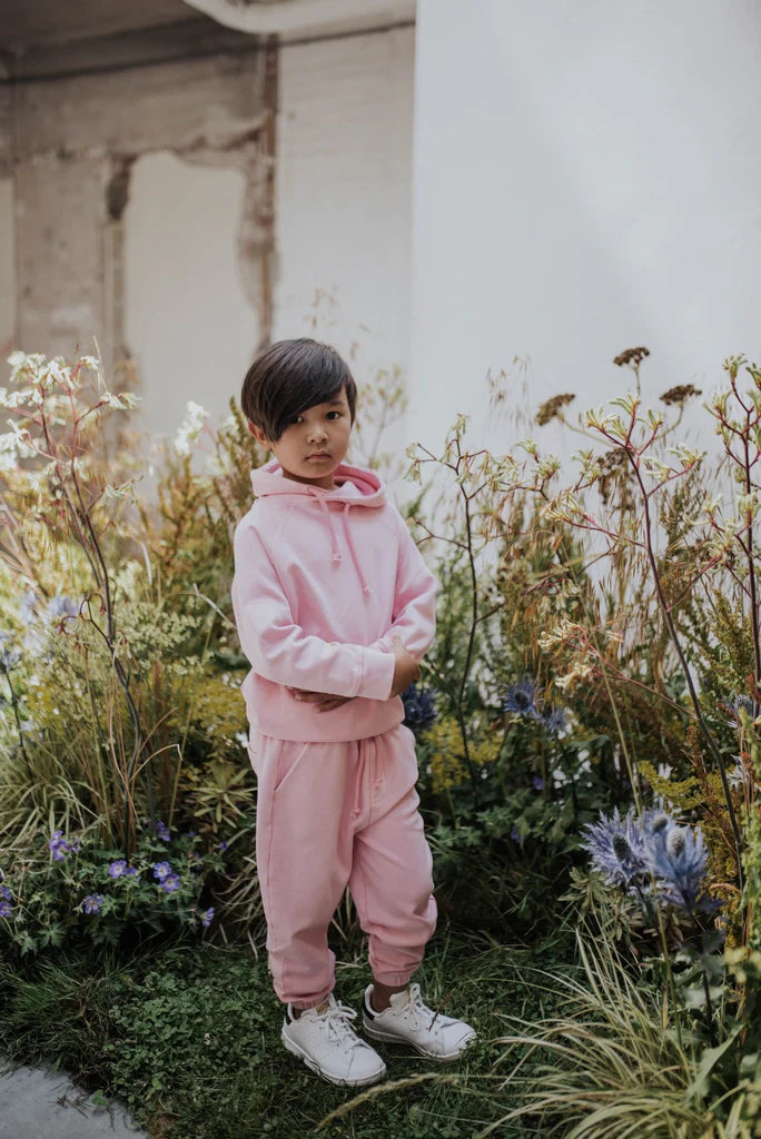 Hoodie Washed Begonia