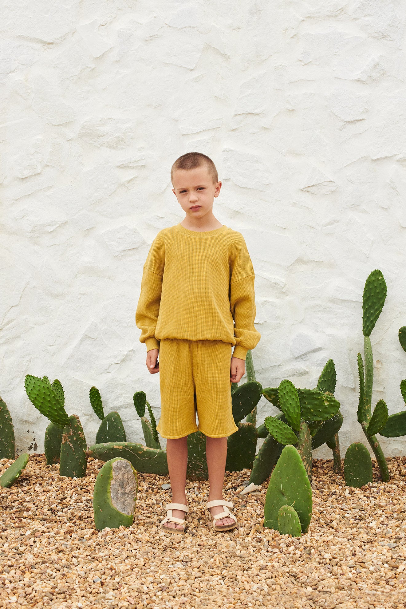 Bermuda Waffle Ben Olivenite