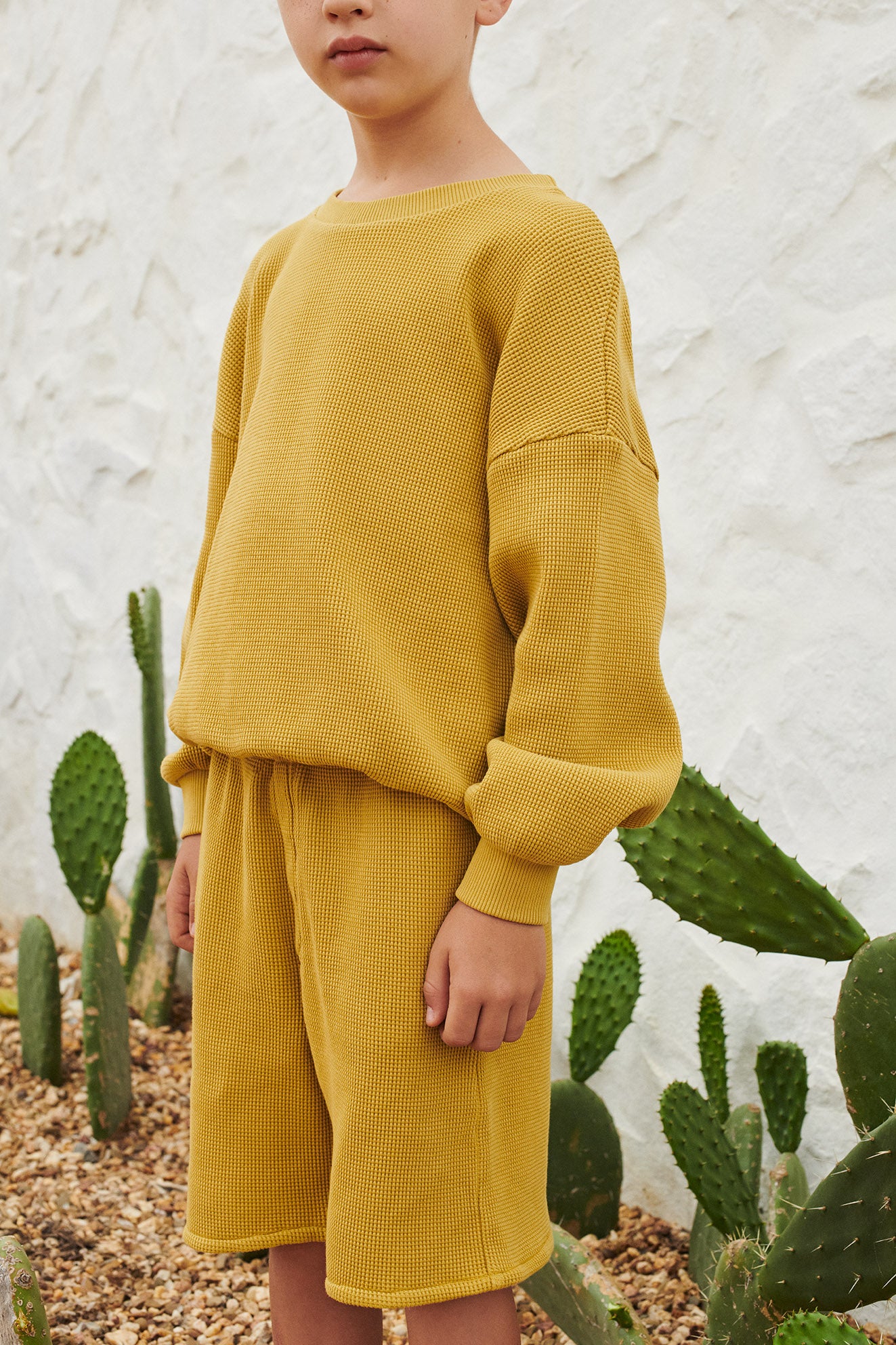 Bermuda Waffle Ben Olivenite