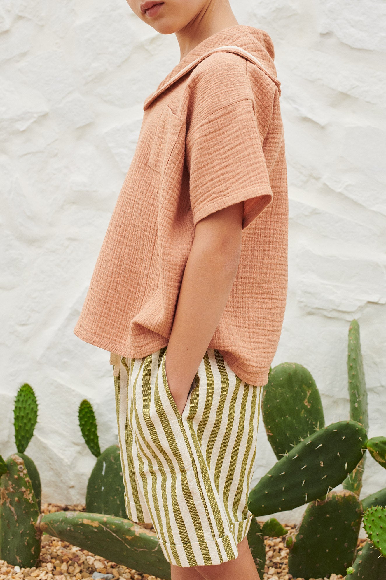 Bermuda Shorts Stripes