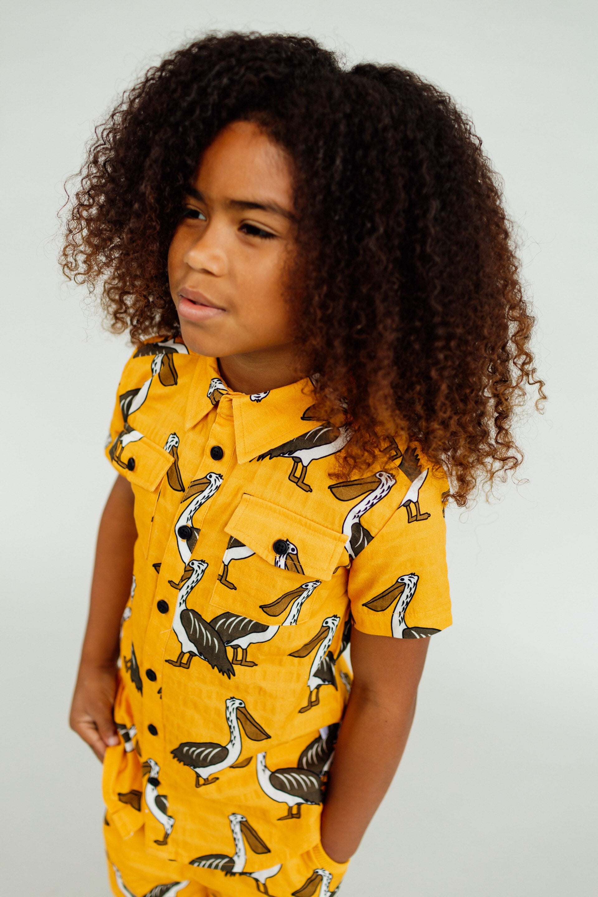 Blouse Shortsleeve Pelican