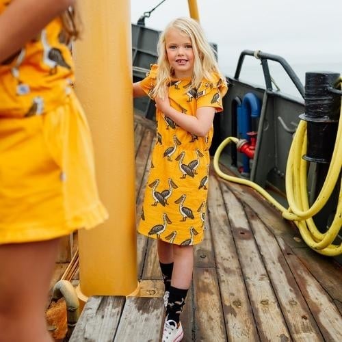 Dress Ruffle Pelican