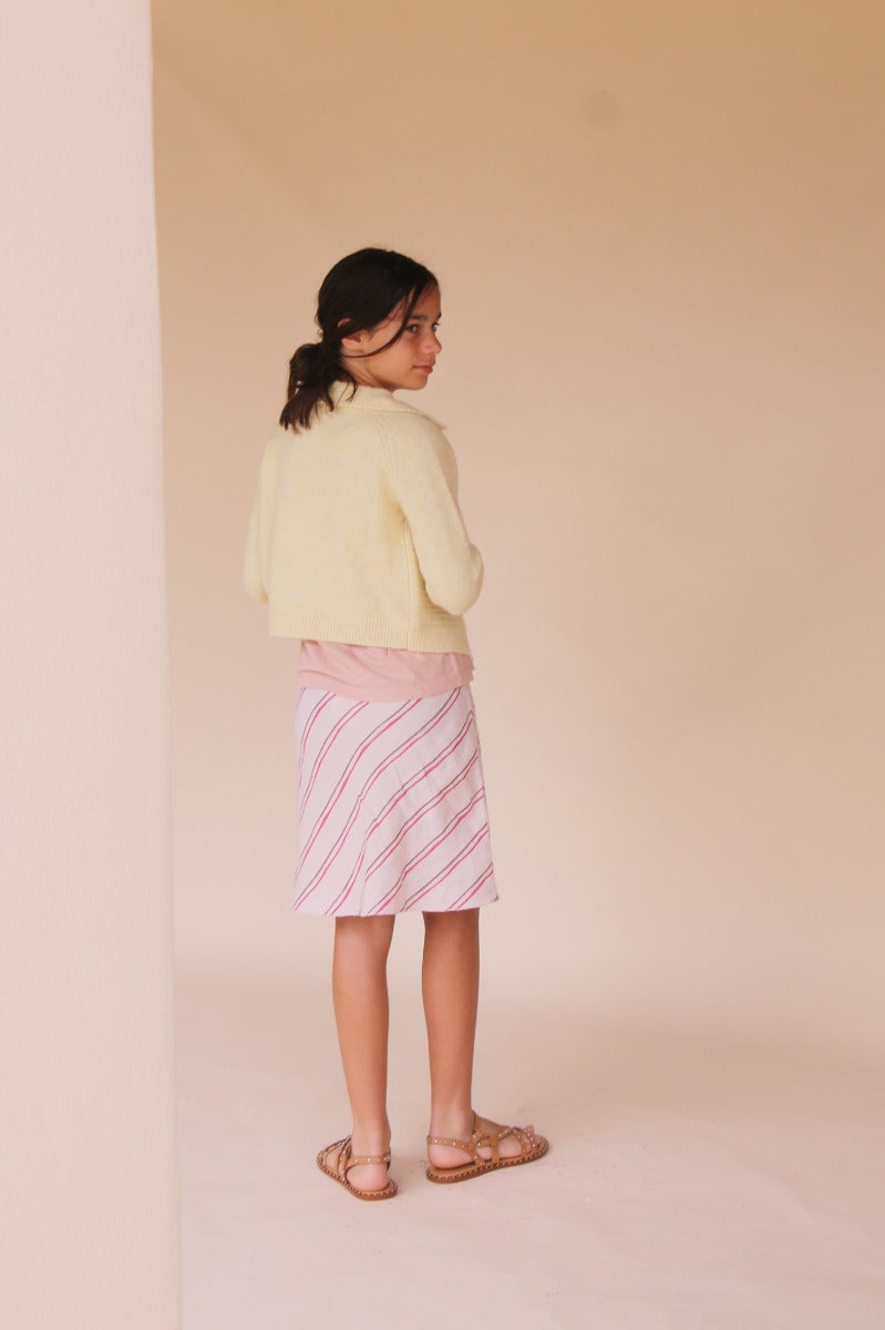 Skirt Striped Linen