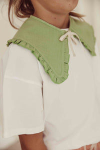 Collar Dryed Green