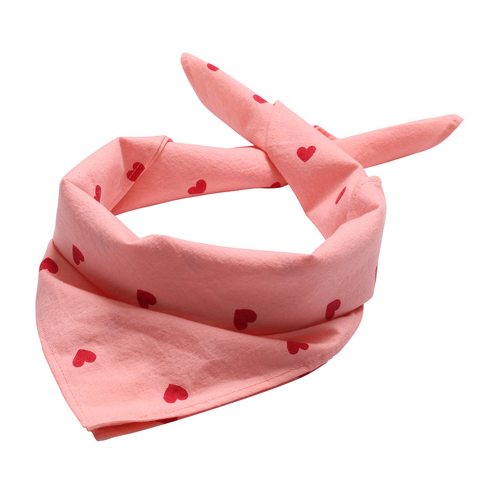 Scarf Club Pink Red