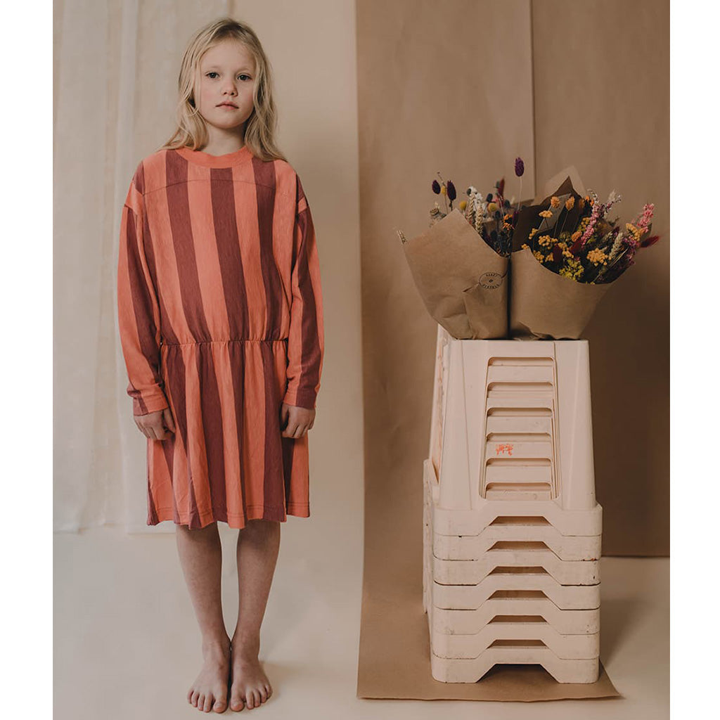 Dress Skater Peachy Block Stripe