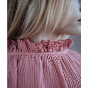 Top Holly Dusty Dawn
