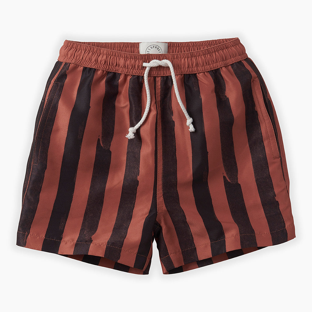 Swim Short Painted Stripe