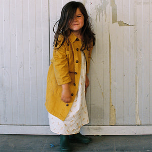 Dress Happy Horse