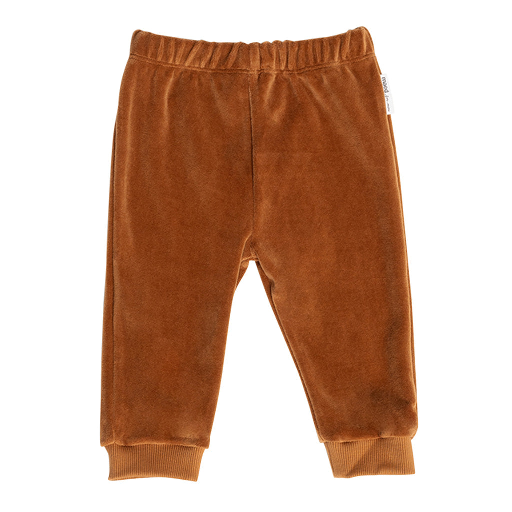 Pants Tenderly Tucan