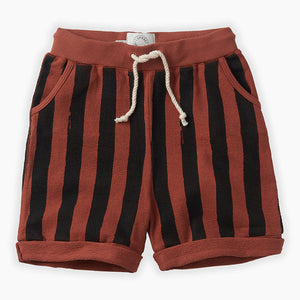 Shorts Painted Stripe