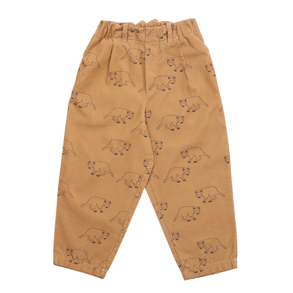 Chino Fabulous Fossa