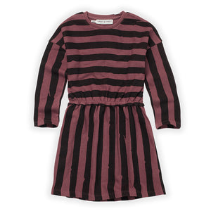 Dress Skater Painted Stripe