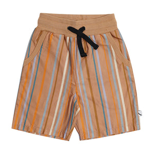Bermuda Multi Colour Stripes