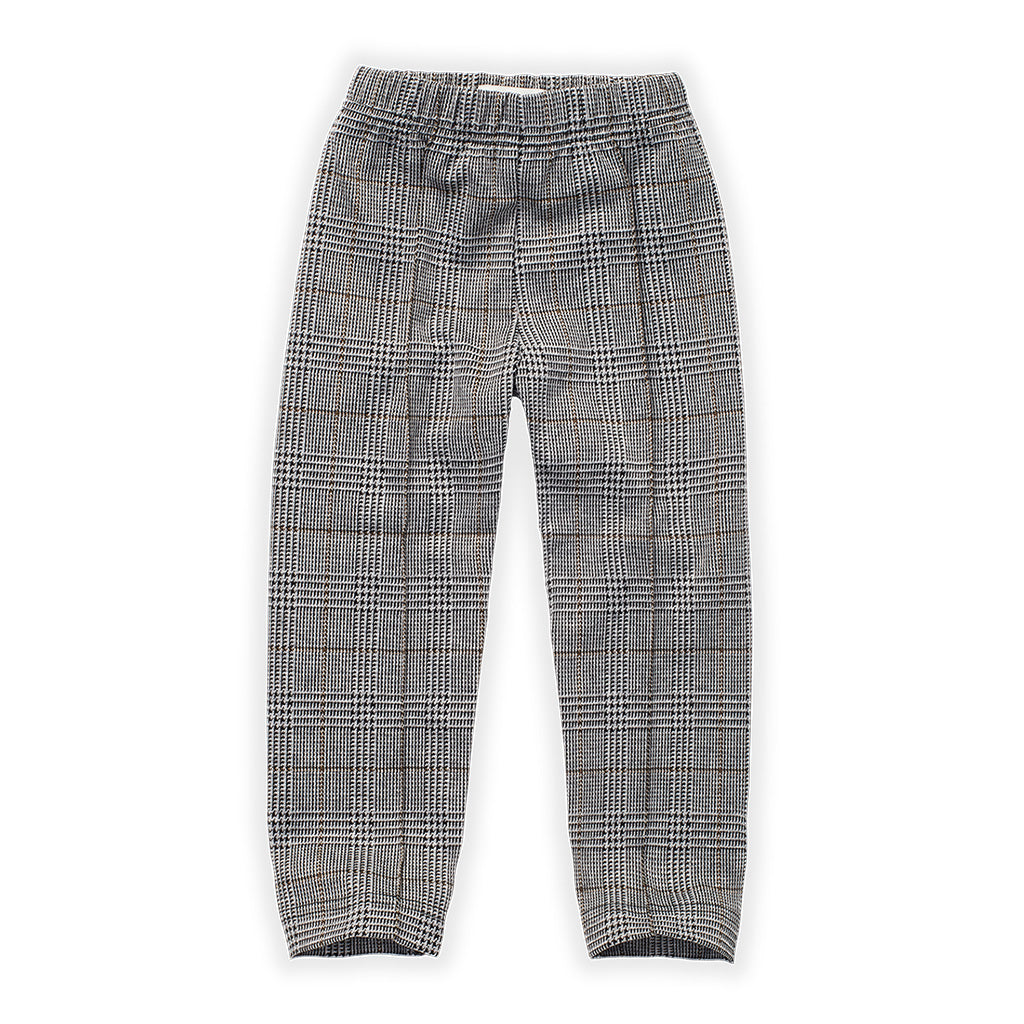 Pants Fine Check