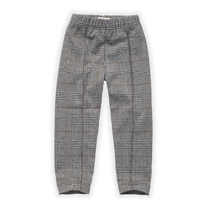 Pants Fine Check