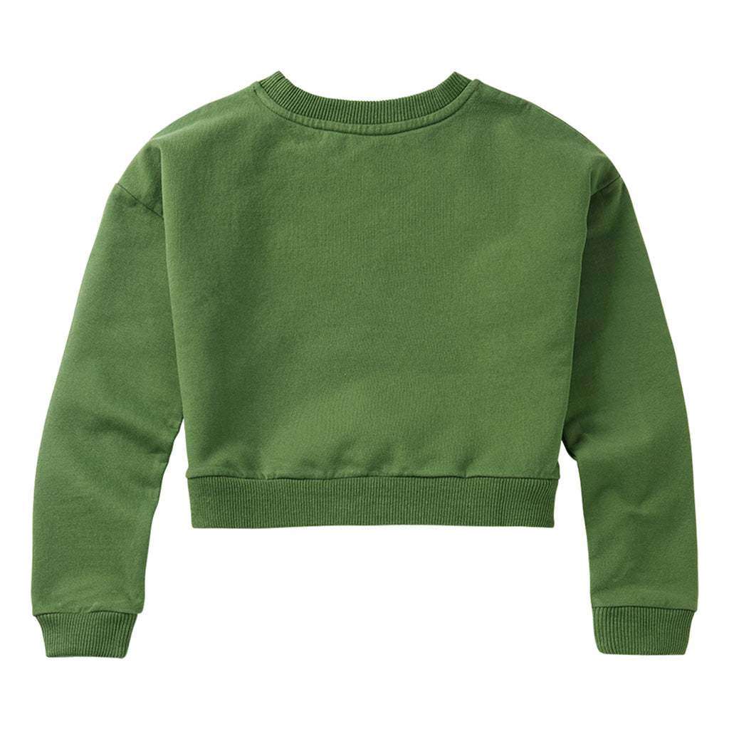 Sweater Cropped Moss Green