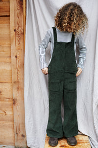 Dungaree Forest Night