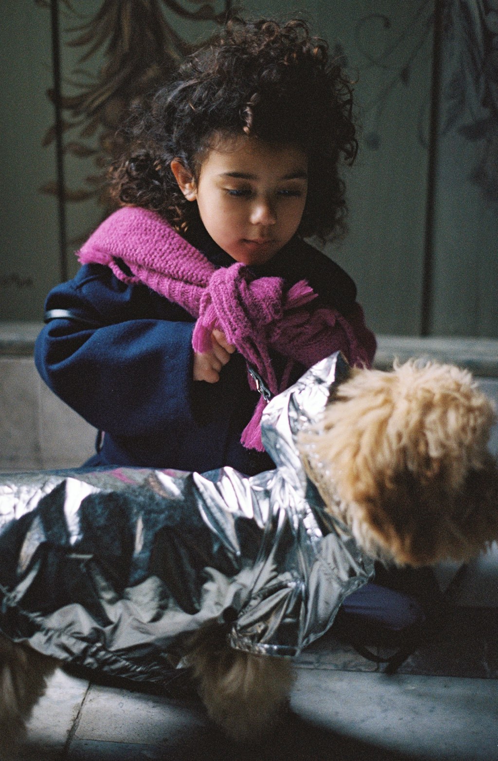 Dog Rain Coat Twinkly Turtle