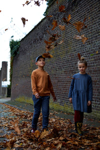 Dress Flanel British Blue Check