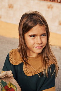 Collar Dun