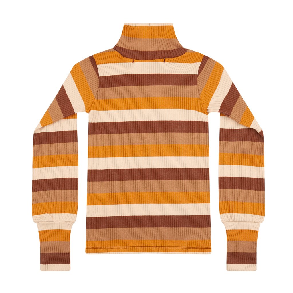 Turtleneck Multi Color Adult