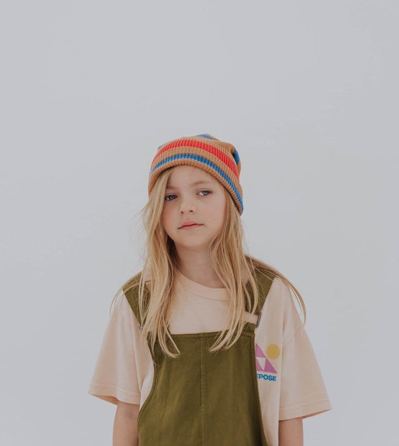 Hat Knit Multi Stripe