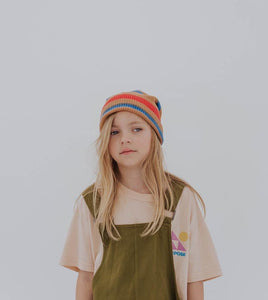 Hat Knit Multi Stripe